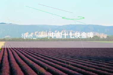 项城中国十七块金牌