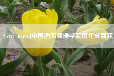项城中国消防救援学院历年分数线