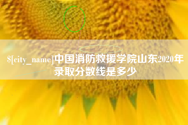 项城中国消防救援学院山东2020年录取分数线是多少