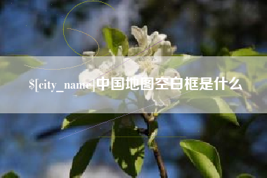 项城中国地图空白框是什么