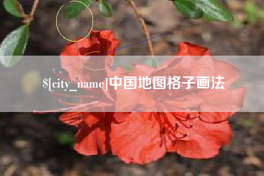 项城中国地图格子画法