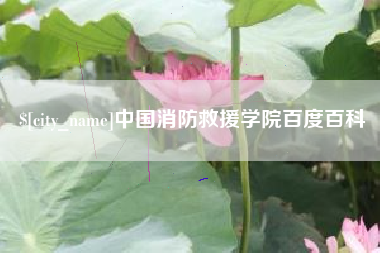 项城中国消防救援学院百度百科