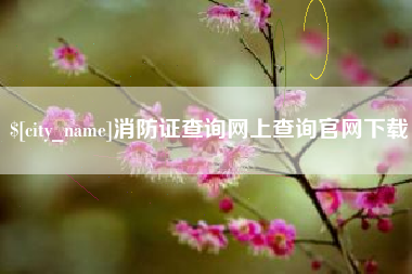 项城消防证查询网上查询官网下载