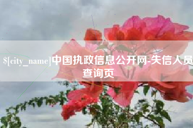 项城中国执政信息公开网-失信人员查询页