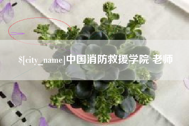 项城中国消防救援学院 老师