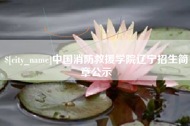 项城中国消防救援学院辽宁招生简章公示