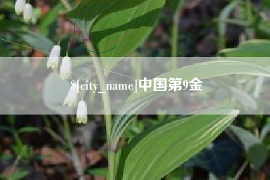 项城中国第9金