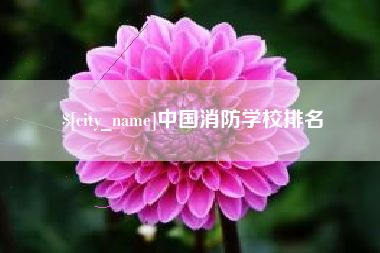 项城中国消防学校排名