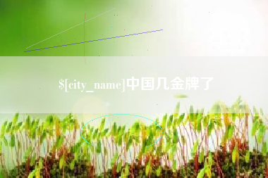 项城中国几金牌了