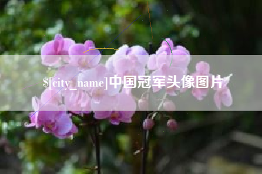 项城中国冠军头像图片