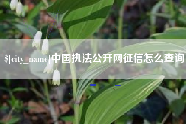 项城中国执法公开网征信怎么查询