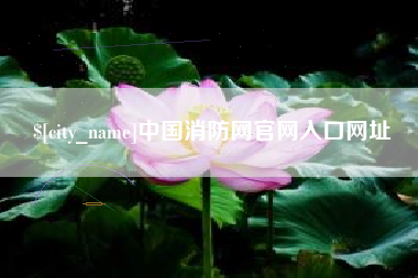 项城中国消防网官网入口网址