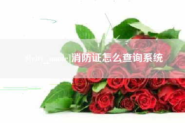 项城消防证怎么查询系统