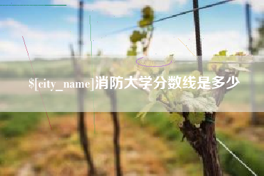 项城消防大学分数线是多少