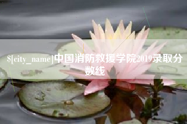 项城中国消防救援学院2019录取分数线