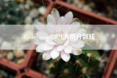 项城2021消防分数线