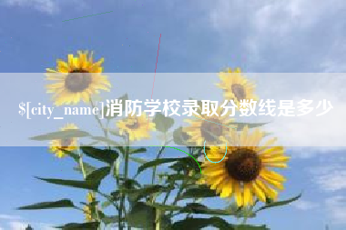 项城消防学校录取分数线是多少