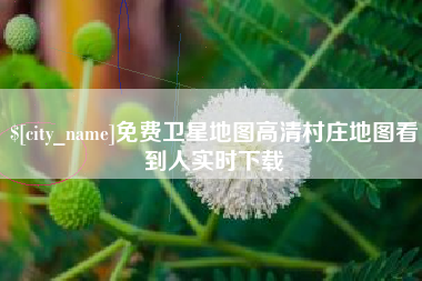 项城免费卫星地图高清村庄地图看到人实时下载
