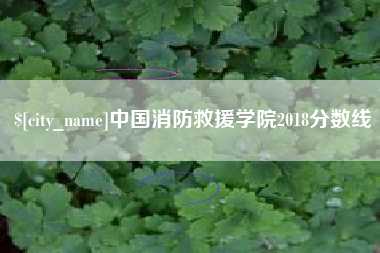 项城中国消防救援学院2018分数线