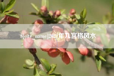 项城2021年九宫格风水