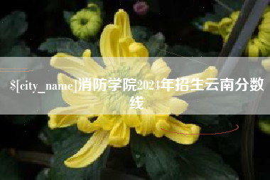 项城消防学院2024年招生云南分数线