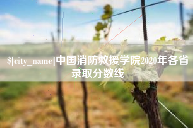 项城中国消防救援学院2020年各省录取分数线