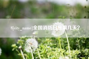 项城全国消防日是第几天？