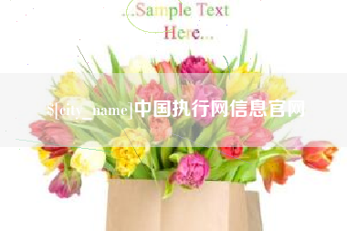 项城中国执行网信息官网