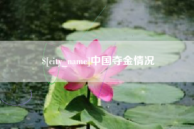 项城中国夺金情况