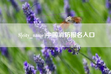 项城中国消防报名入口