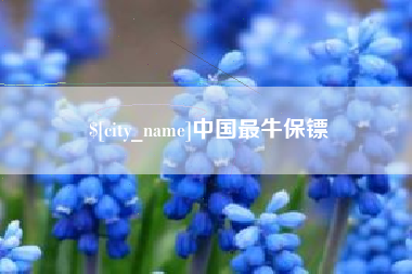 项城中国最牛保镖