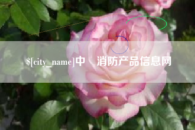 项城中囯消防产品信息网