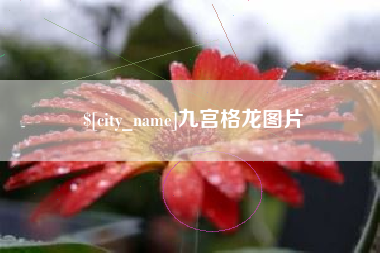 项城九宫格龙图片