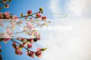 项城中国地图精细