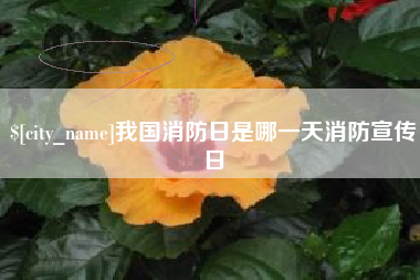 项城我国消防日是哪一天消防宣传日