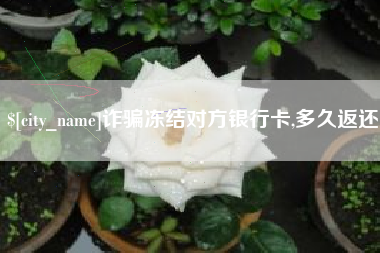 项城诈骗冻结对方银行卡,多久返还