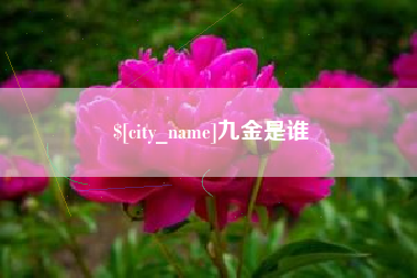项城九金是谁