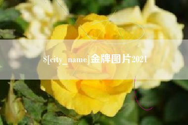 项城金牌图片2021