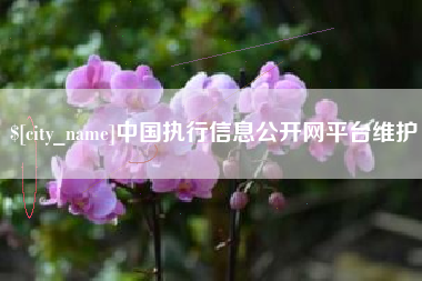 项城中国执行信息公开网平台维护