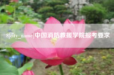 项城中国消防救援学院报考要求