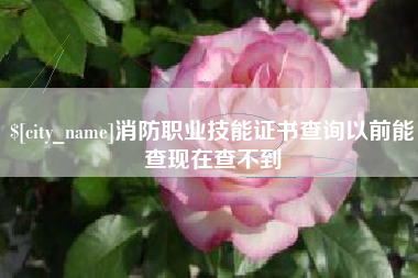 项城消防职业技能证书查询以前能查现在查不到
