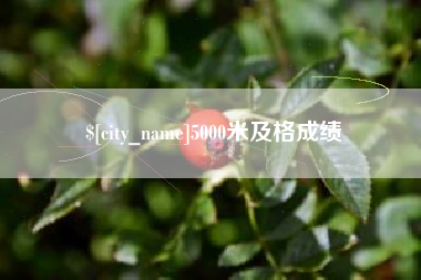 项城5000米及格成绩