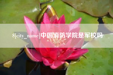 项城中国消防学院是军校吗