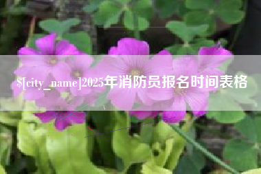 项城2025年消防员报名时间表格