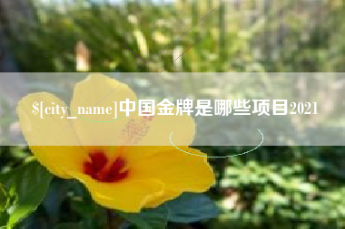 项城中国金牌是哪些项目2021