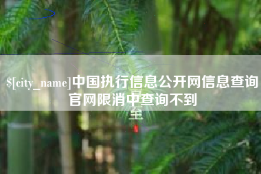 项城中国执行信息公开网信息查询官网限消中查询不到
