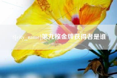 项城第九枚金牌获得者是谁