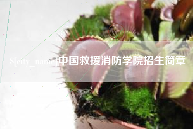 项城中国救援消防学院招生简章