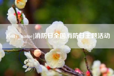 项城消防日全国消防日主题活动