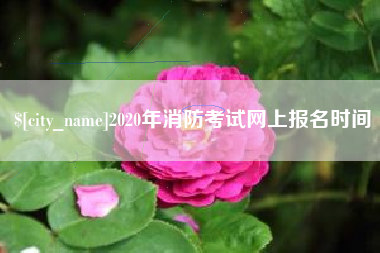 项城2020年消防考试网上报名时间